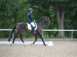 IMG_0172_web